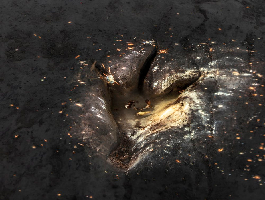 NGC 3318 and Acrocanthosaurus Footprint