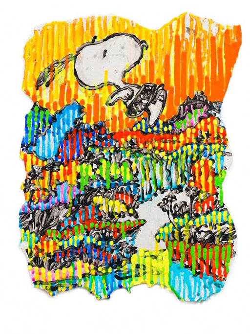 Super Fly Series - Fall | Peabody Gallery