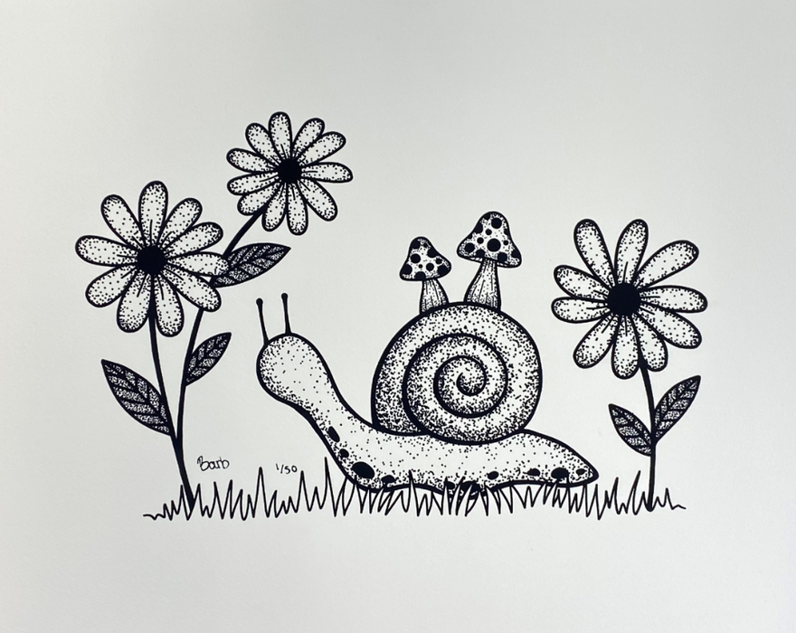 Mushroom Snail | Peabody Gallery
