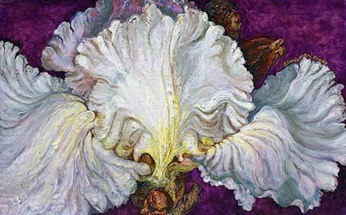 Andronico White Iris - oil | Peabody Gallery