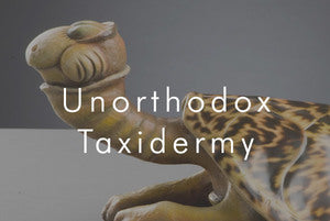 Unorthodox Taxidermy peabody-gallery