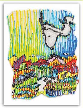 Super Fly Series - Summer | Peabody Gallery