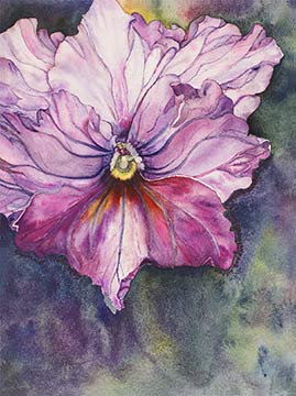 My Purple Pansy | Peabody Gallery