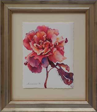 Apricot Rose | Peabody Gallery