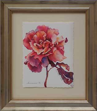 Apricot Rose - Peabody Gallery