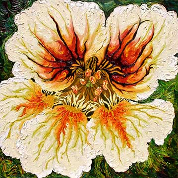 Pale Yellow Nasturtium | Peabody Gallery