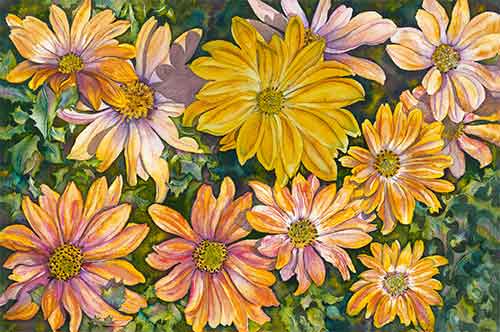 So Many Daisies! | Peabody Gallery
