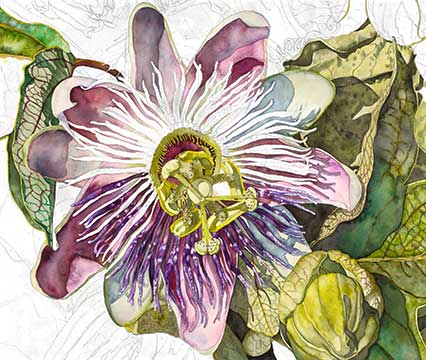 Purple Passion in progress | Peabody Gallery