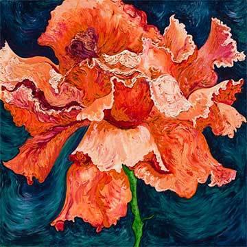 Apricot Rose - oil - Peabody Gallery