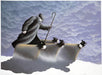 A Dusting - Peabody Gallery